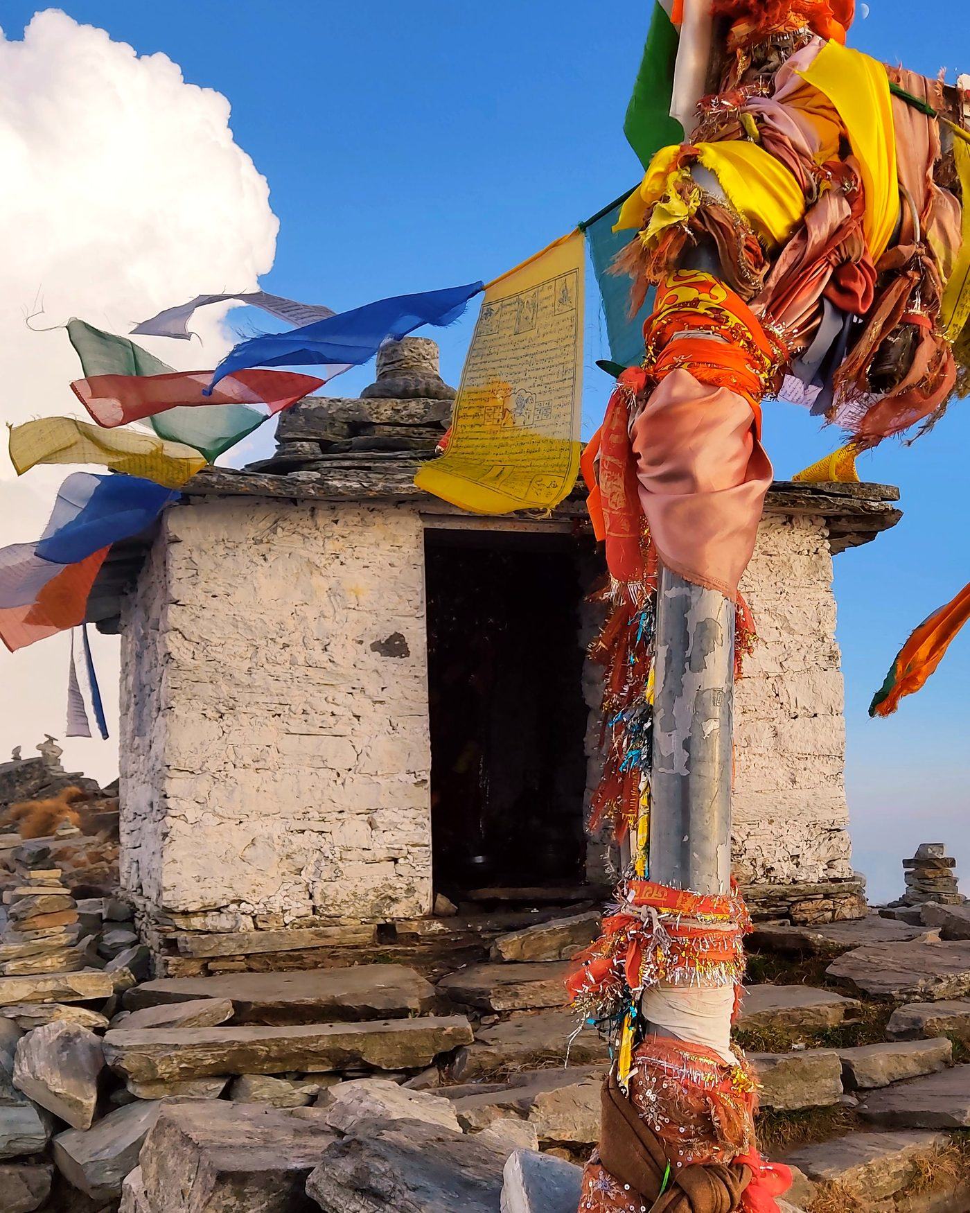 Colourful Buddhist prayer flags at a Himalayan shrine, representing Little Nepal's Himalayan heritage